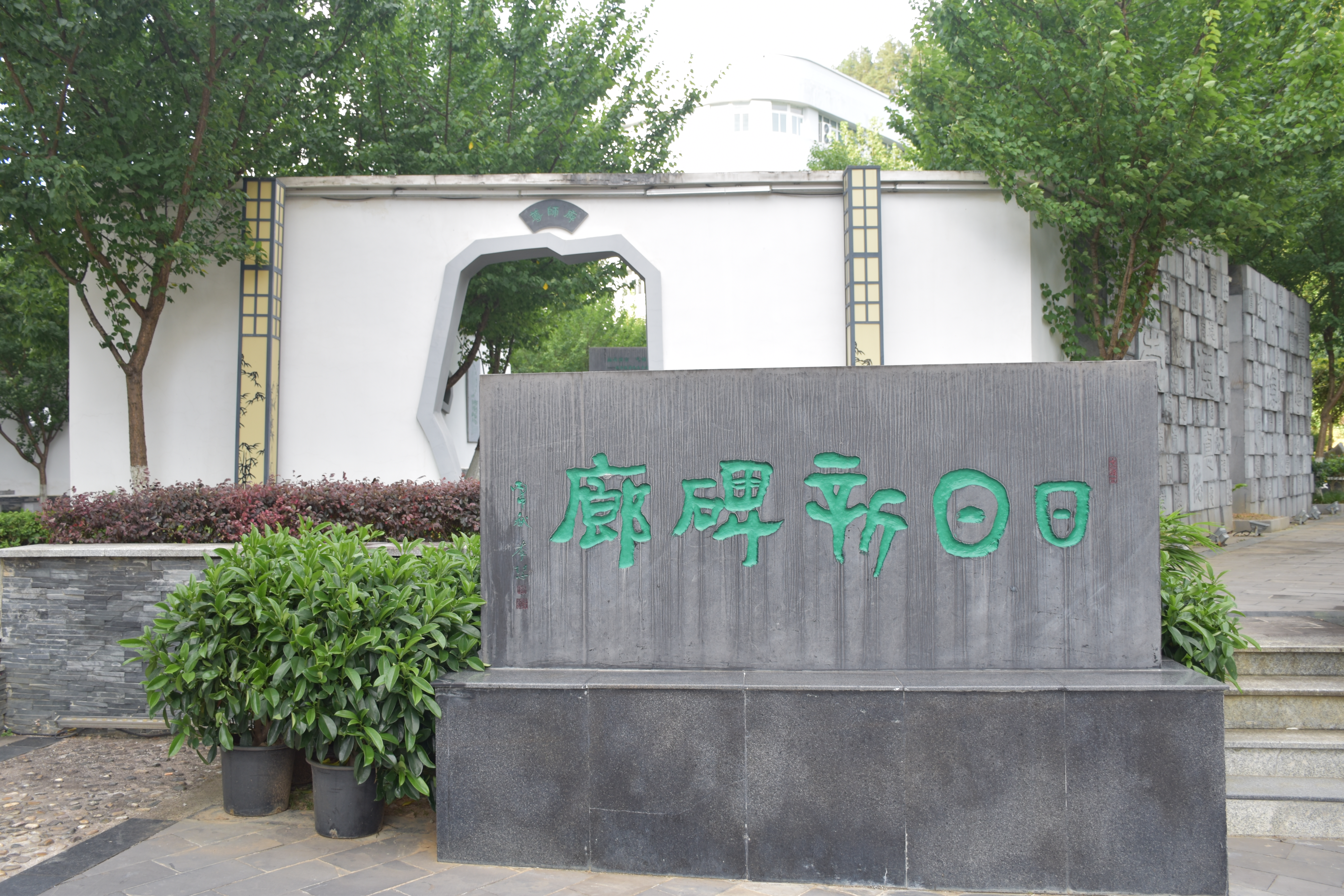 示例图片